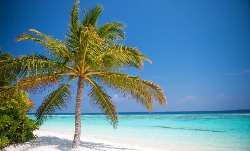 Image 3: ✈ MALDIVES | Dhunikolhu - Coco Palm Dhuni Kolhu 5* - Tout inclus