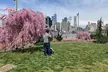 Brooklyn Bridge Waterfront Guided Bike Tour - Second Medium