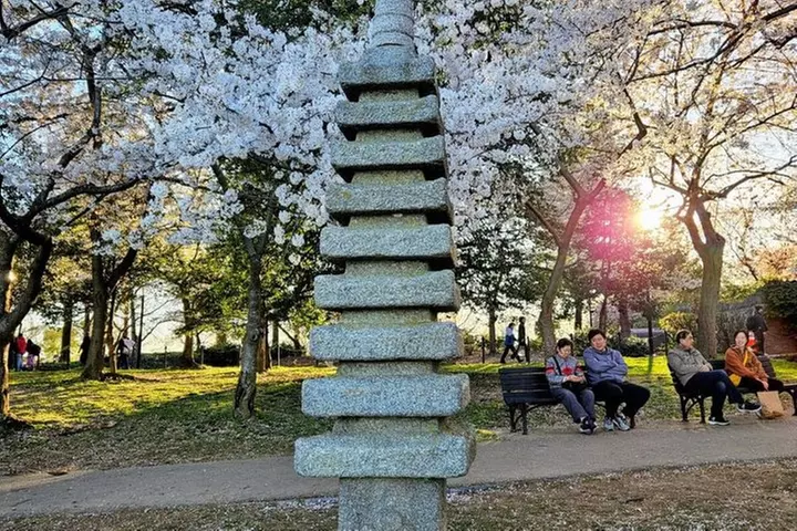 Small Group Washington DC Tour with Changing of the Guard
