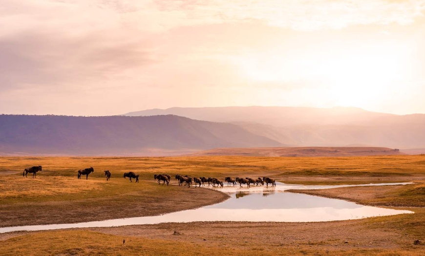 Image 4: ✈ TANZANIE | Du Kilimanjaro à Nairobi - Safaris en Afrique entre la...