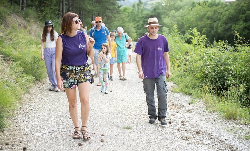 Image 8: Randonnée Familiale dans les Champs de Lavande du Vercors