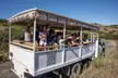 2 hour Inside Adventure Tour on Catalina Island - Second Medium