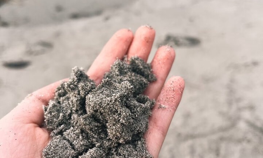 Image 17: Bruny Island Food & Wildlife Guided Tour with Coastal Views