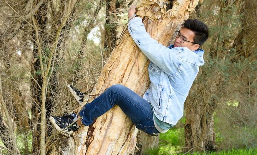 Image 12: Boshack Farm - Animal, Wildlife, Stargazing Nature Aussie culture