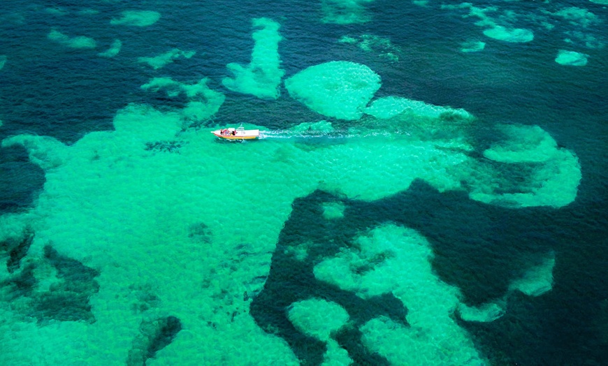 Image 31: ✈ CUBA | Varadero - Paradisus Varadero Resort & Spa 5*, 5 nights - ...