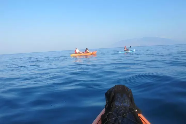 Makena Turtle Town Eco Adventure in Maui