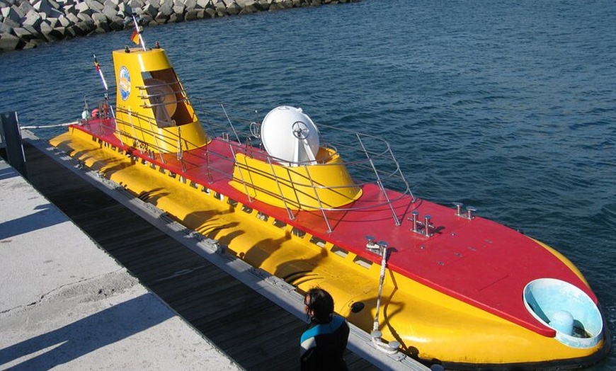 Image 13: Tour submarino Tenerife: una experiencia submarina de 1 hora