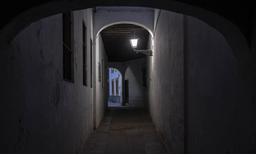 Image 14: Sevilla Fácil : Centro Histórico y Judería + Barrio de Triana