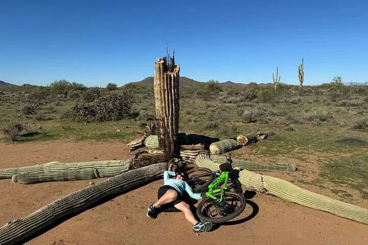 Arizona Desert Guided E-Bike Tour