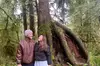 Seattle: Rainforest, Beach, and Olympic National Park Highlights