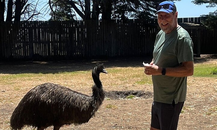 Image 7: Great Ocean Road Small Group Tour with Dingos, Sparkling & Lunch