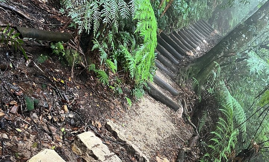 Image 8: Blue Mountains Day Trip + Sydney Zoo +Three Sisters + Waterfalls