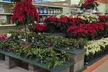 $40 For $80 Toward Your Choice Of Plants & Supplies - Second Medium