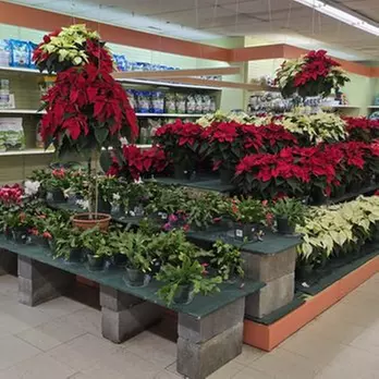 $40 For $80 Toward Your Choice Of Plants & Supplies