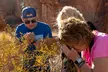 Valley of Fire and Red Rock Canyon Day Tour from Las Vegas - Second Medium