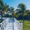 Image 21: ✈ CUBA | Varadero - Hotel Iberostar Origin Laguna Azul 5*, 5 notti ...