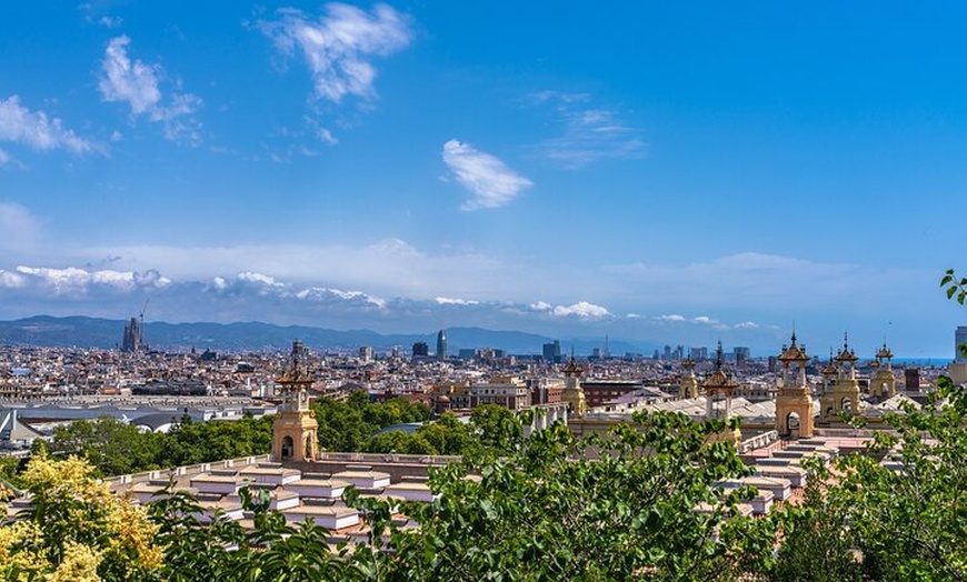 Image 2: Entrada Torre Agbar