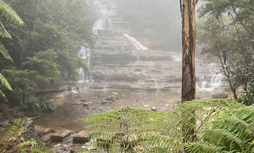 Image 2: Blue Mountains Private Group Day Tour from Sydney