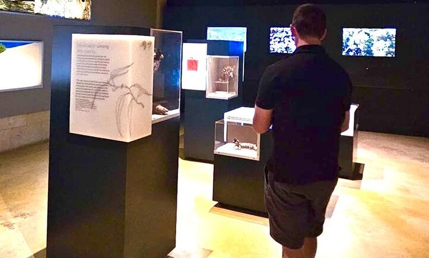 Image 9: 4WD Pinnacles Desert Turquoise Coast and Sand Boarding Adventure