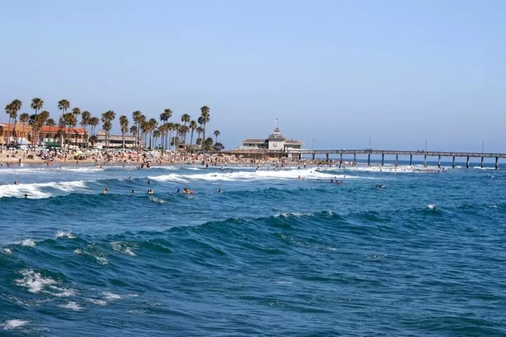 Whale-Watching and Orange County Beaches Tour from Anaheim