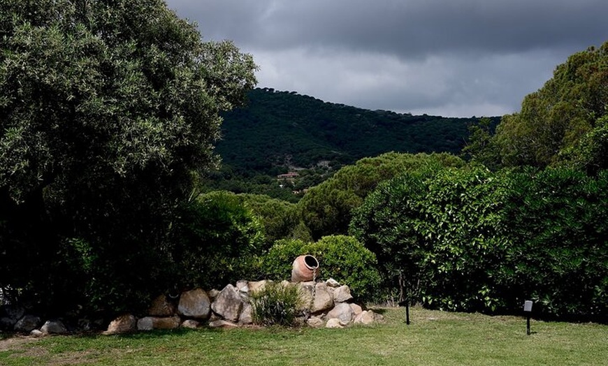Image 9: Experiencia de cocina mediterránea en el retiro
