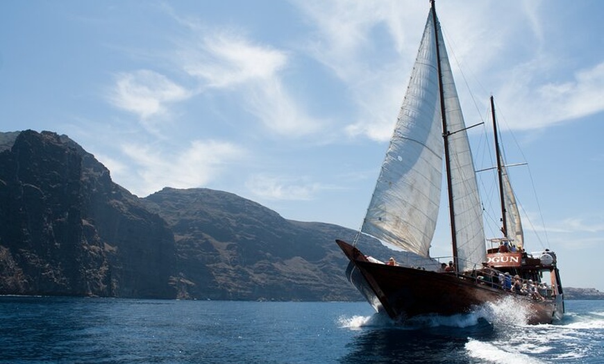 Image 4: Safari de ballenas hasta Los Gigantes con recogida desde Norte