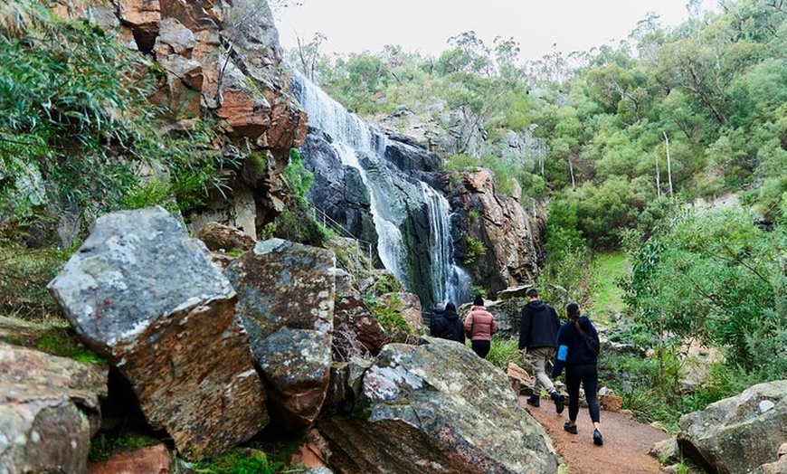Image 13: 2-Day Melbourne to Adelaide Tour via Great Ocean Road Grampians