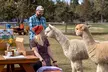 Alpaca Picnic Experience in Oregon - Second Medium