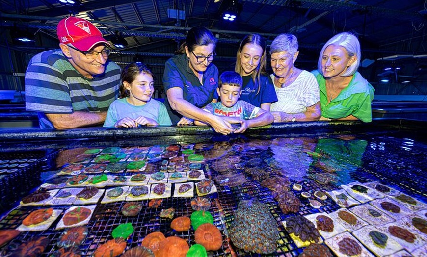 Image 4: One Hour Coral Farm Tour, Discover Australia's Marine Life