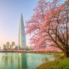 Image 3: ✈ COREA DEL SUD | Seul - Corea segreta e autentica 3*, 10 notti - Tour