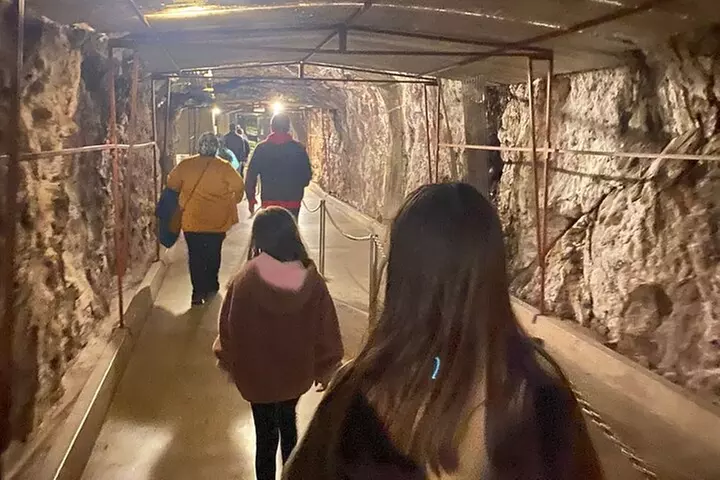 Hoover Dam Tunnels and Power Plant Tour in Spanish