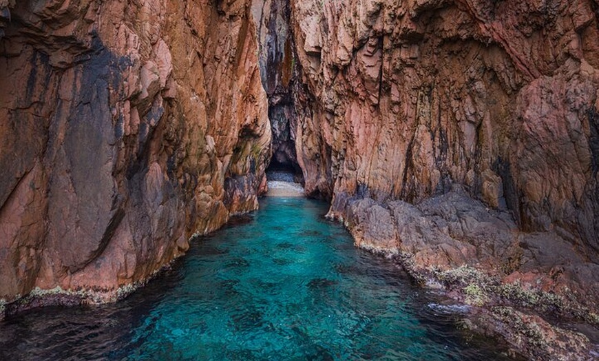 Image 14: Scandola & Girolata : L'Excursion Incontournable en Corse