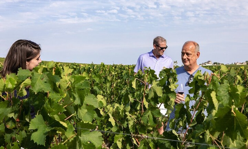 Image 1: Visite du domaine viticole de Saint-Emilion avec Guide local
