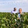 Image 1: Visite du domaine viticole de Saint-Emilion avec Guide local