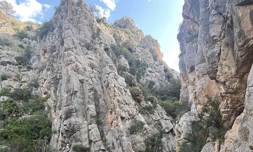 Image 15: Tu Tour Privado en Van Por La Costa Blanca