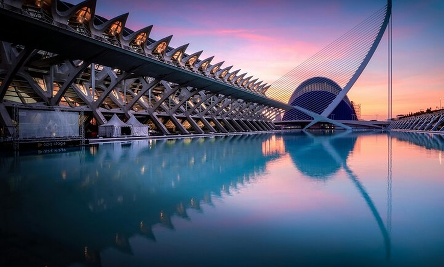 Image 2: Excursión privada de día completo a Valencia