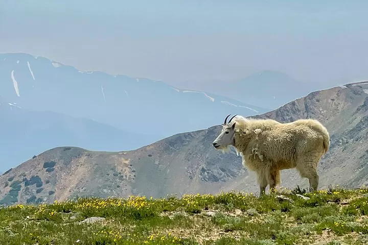 Georgetown via Guanella Pass Private Colorado Adventure Tour - Second Medium
