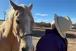 Sacred Horse Medicine Journey near Sedona - Second Medium