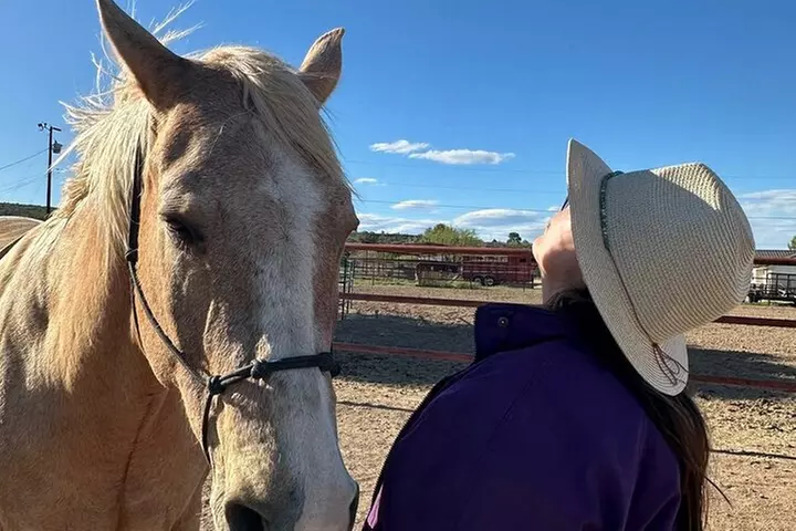 Sacred Horse Medicine Journey near Sedona