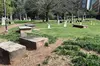 Charlotte's Only Southern Charm Haunted/True Crime Bus Tour