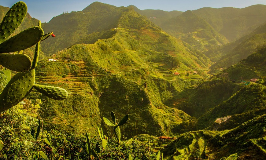 Image 11: ✈ CANARIES | Ténérife - Tenerife au volant 3*, 7 nuit - Autotour