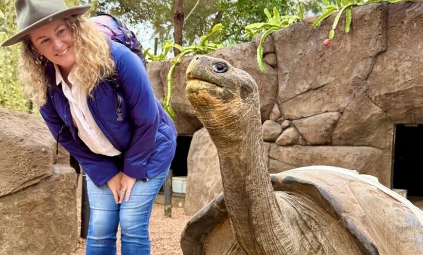 Image 11: Baby Animals, Boomerangs and BBQ Lunch