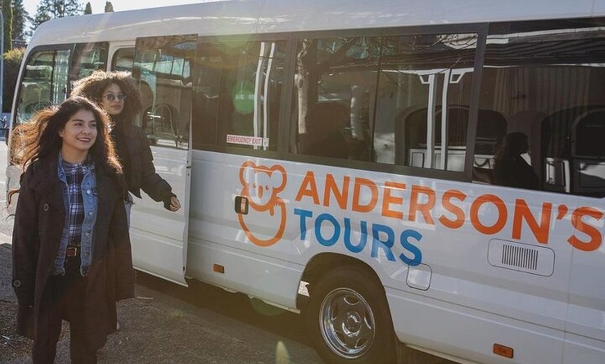 Image 6: Small All Inclusive Blue Mountain,Scenic World,Lunch,Koalas,ferry