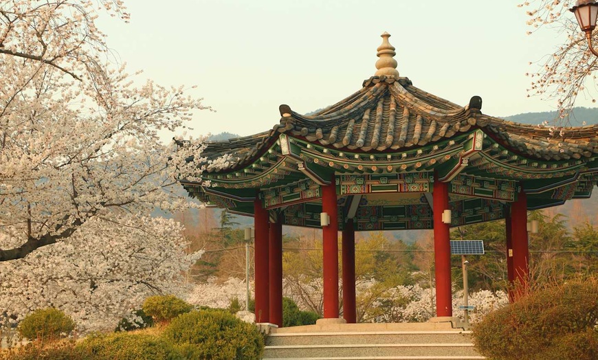 Image 7: ✈ COREA DEL SUD | Seul - Corea Segreta e Autentica 3* - Tour
