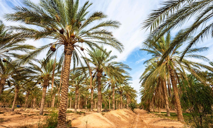 Image 10: ✈ TUNISIE | Djerba - Réveillon magique dans le désert tunisien 4*, ...