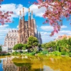 Image 10: ✈ SPAIN | Barcelona - Hotel Rec Barcelona- Adults Only 3*, 2 nights...