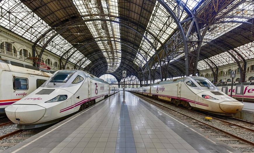 Image 1: Traslado privado VIP de la ciudad de Barcelona a la estación de tre...