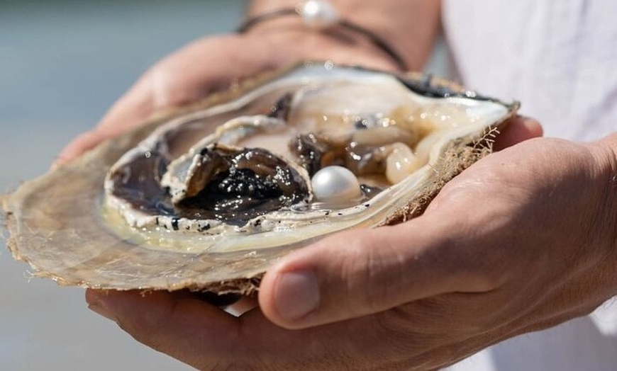 Image 17: Private Panoramic Town Tour of Broome – Tailored Experience