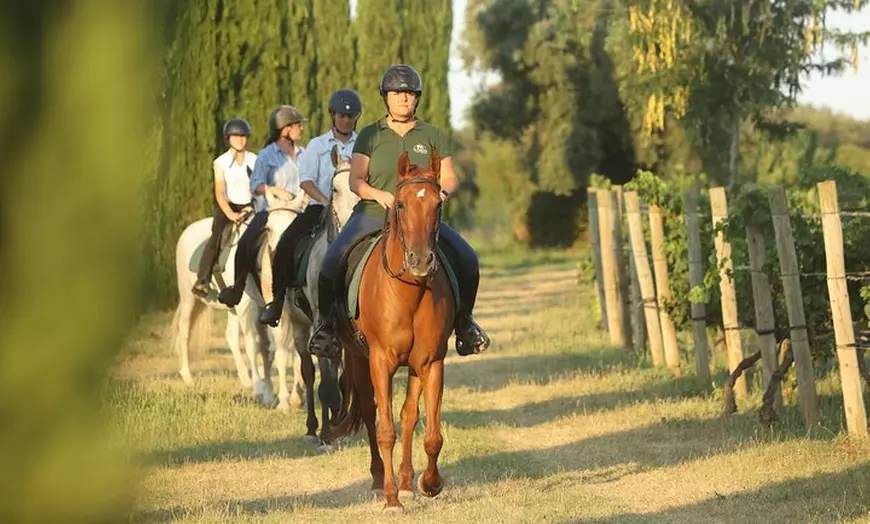 Image 1: A caballo entre viñedos y cata de vinos: Aventura y enoturismo