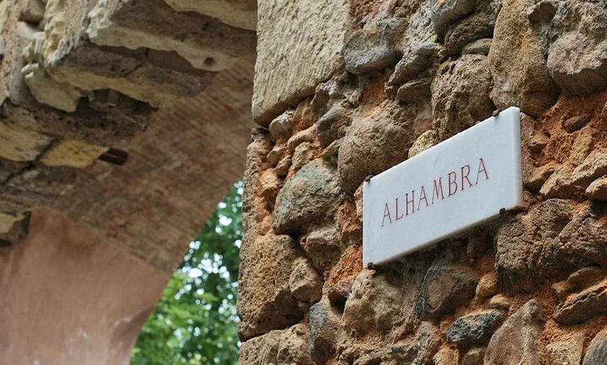 Image 8: Visita Alhambra y Generalife con Audioguía